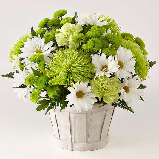 Lucky Charm Basket (Standard) –  Panda Flowers Canada Inc, Calgary AB