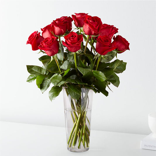 Long Stem Red Rose Bouquet –  Panda Flowers Canada Inc, Calgary AB