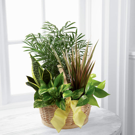 French Garden –  Panda Flowers Canada Inc, Calgary AB