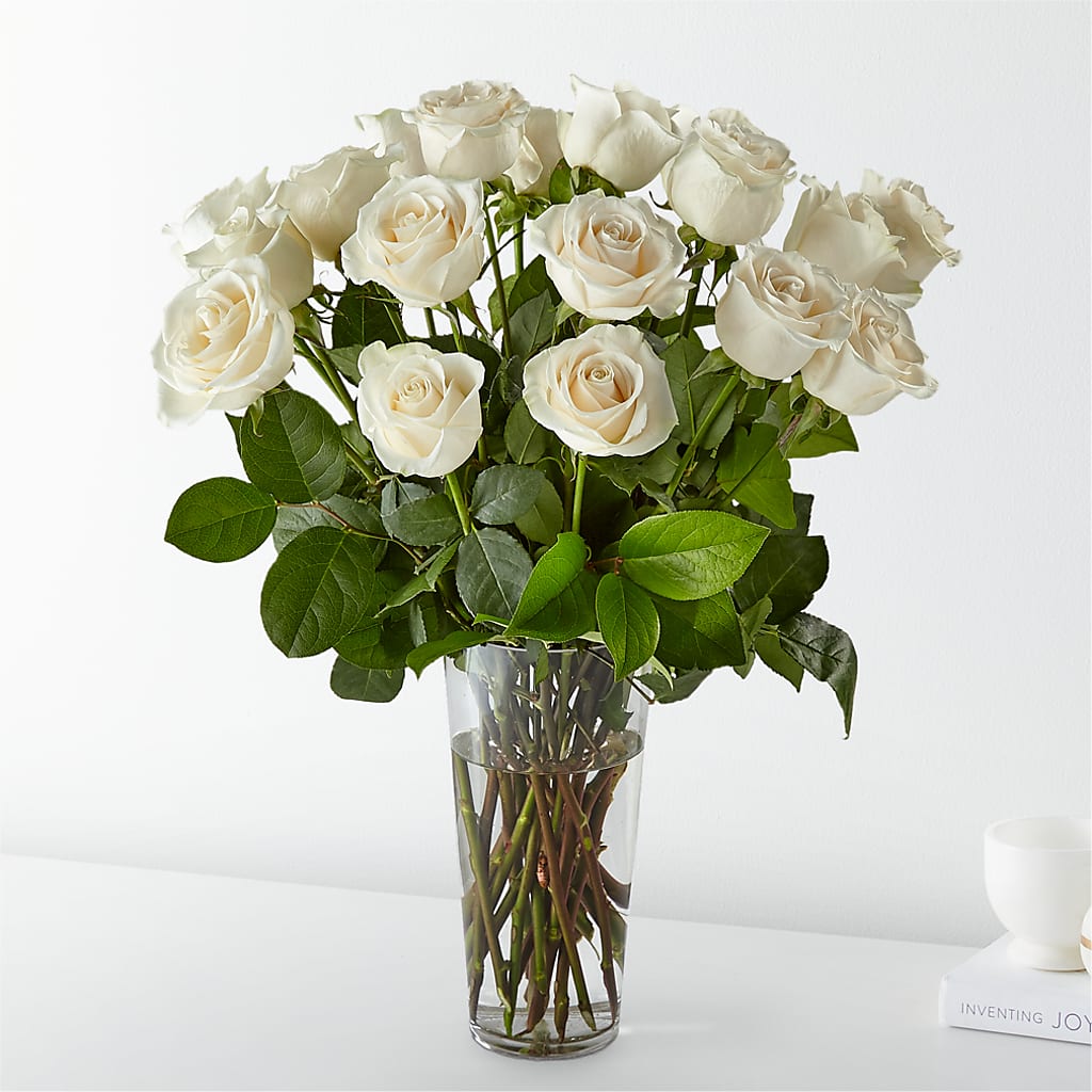 Long Stem White Rose Bouquet –  Panda Flowers Canada Inc, Calgary AB