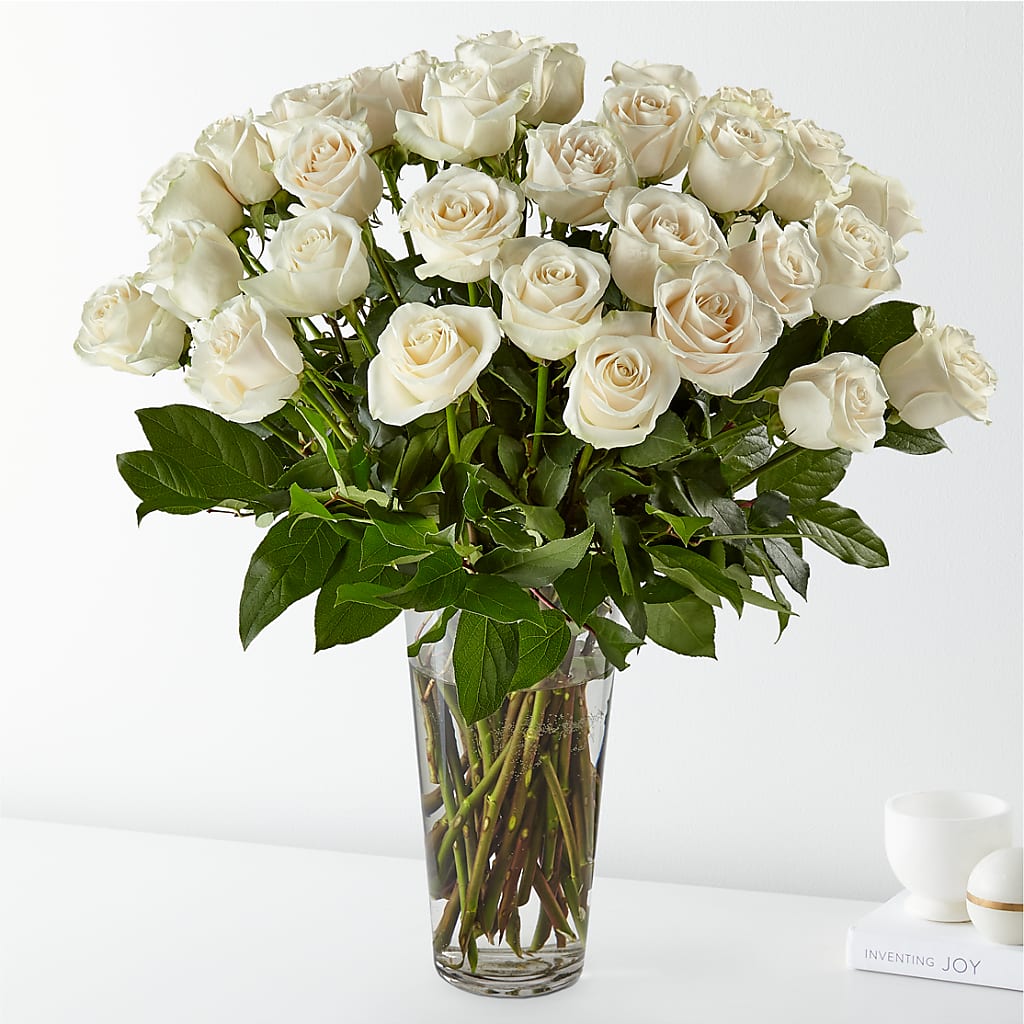 Long Stem White Rose Bouquet –  Panda Flowers Canada Inc, Calgary AB