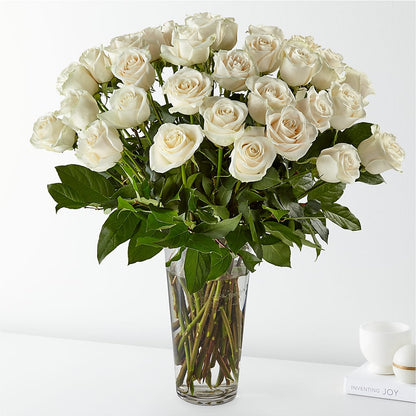 Long Stem White Rose Bouquet –  Panda Flowers Canada Inc, Calgary AB