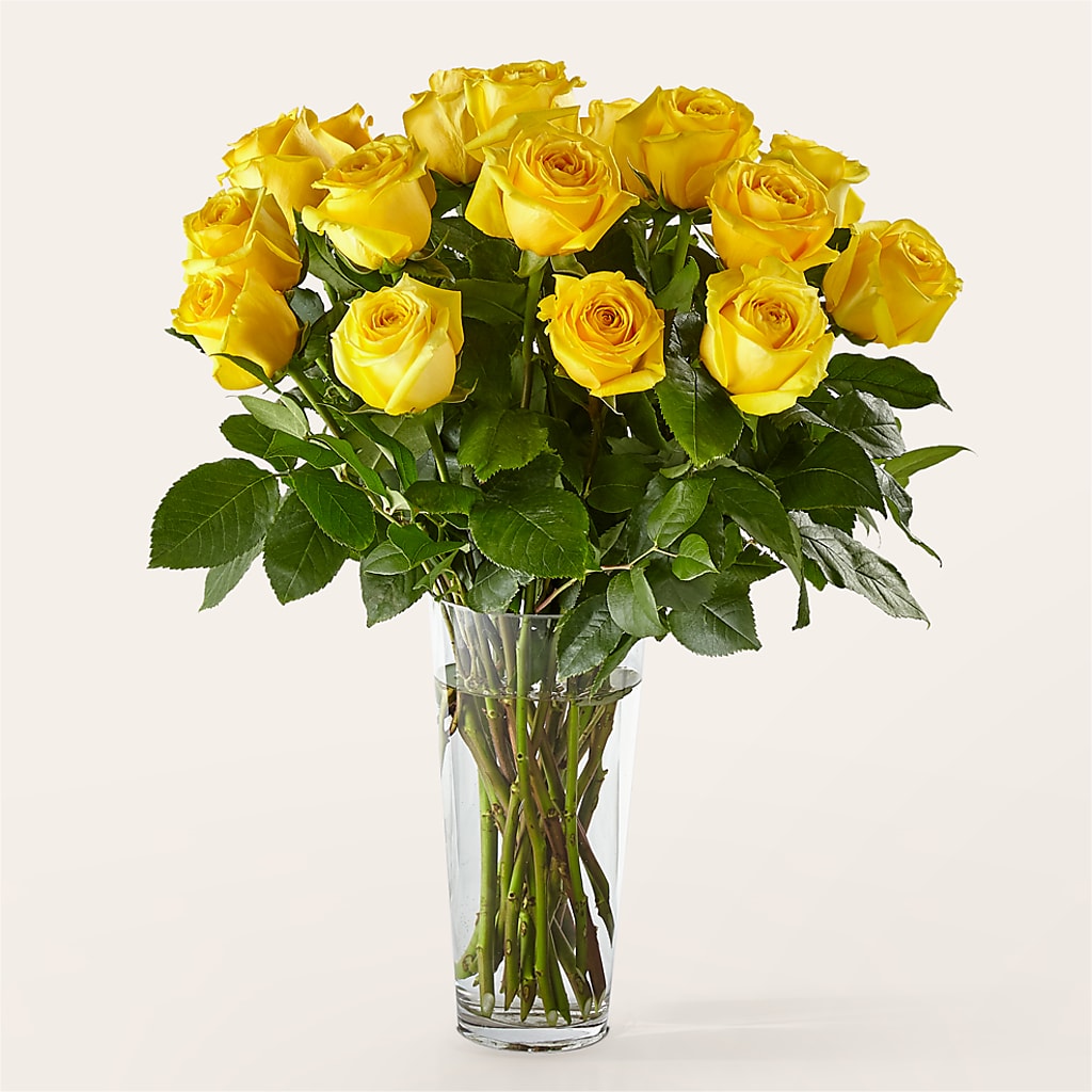 Long Stem Yellow Rose Bouquet –  Panda Flowers Canada Inc, Calgary AB
