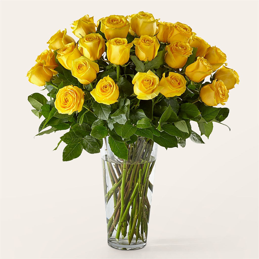 Long Stem Yellow Rose Bouquet –  Panda Flowers Canada Inc, Calgary AB