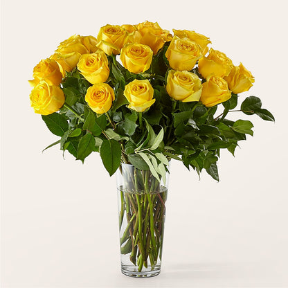 Long Stem Yellow Rose Bouquet –  Panda Flowers Canada Inc, Calgary AB