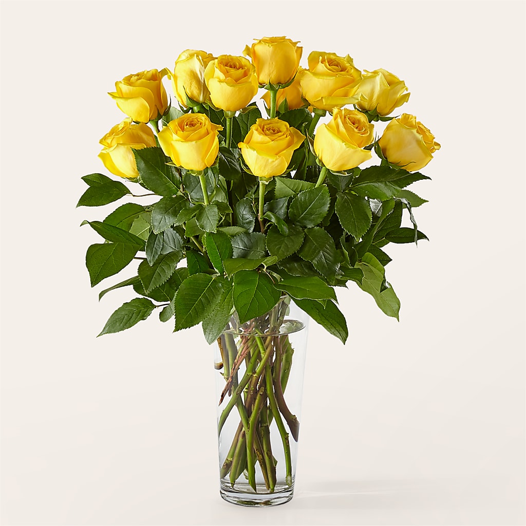 Long Stem Yellow Rose Bouquet –  Panda Flowers Canada Inc, Calgary AB