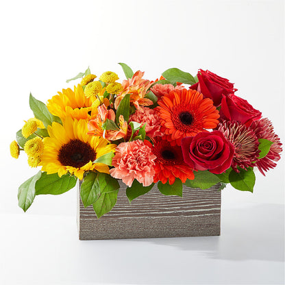 Autumn Orchard Bouquet –  Panda Flowers Canada Inc, Calgary AB