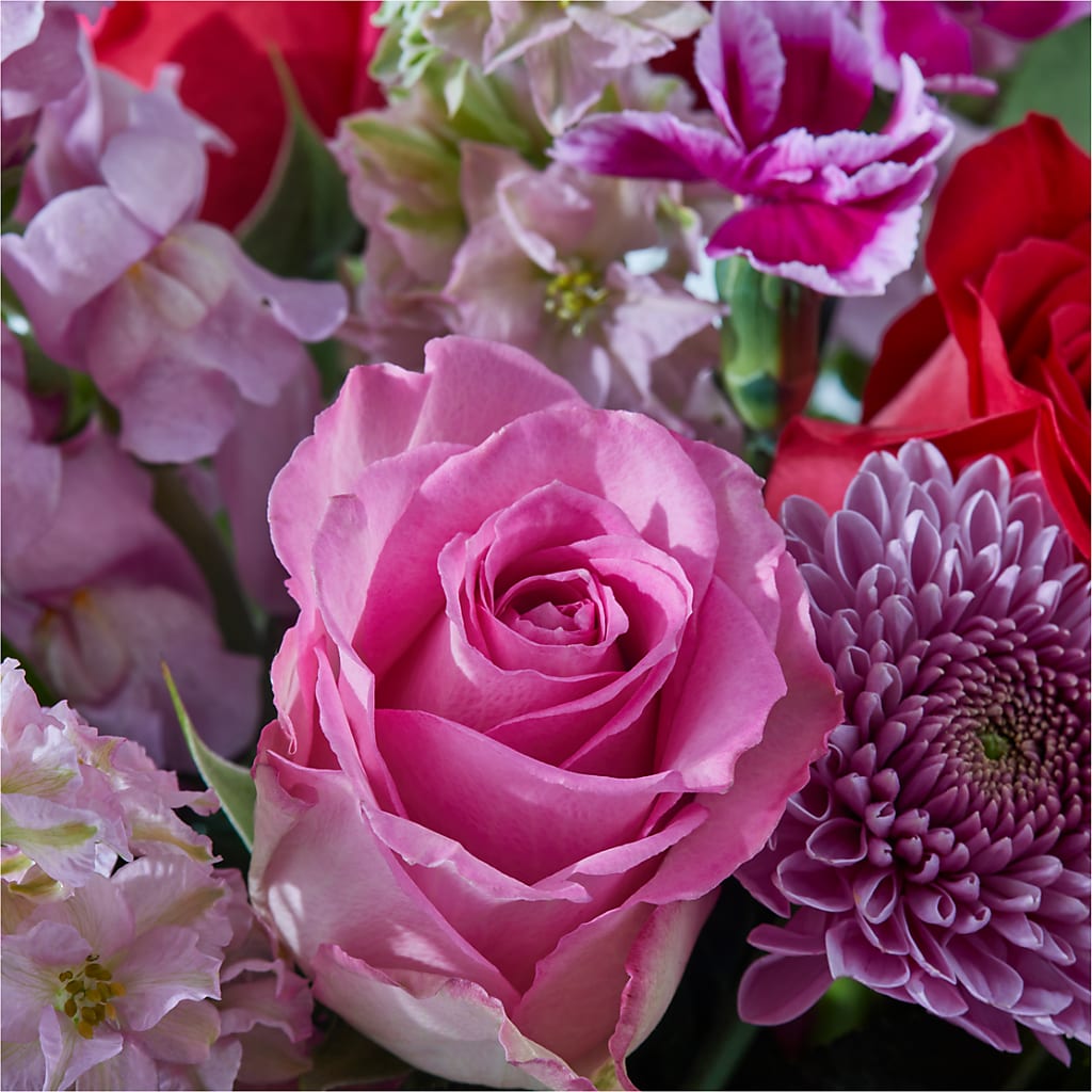 Better Together - A Luxury Florist Original –  Panda Flowers Canada Inc, Calgary AB