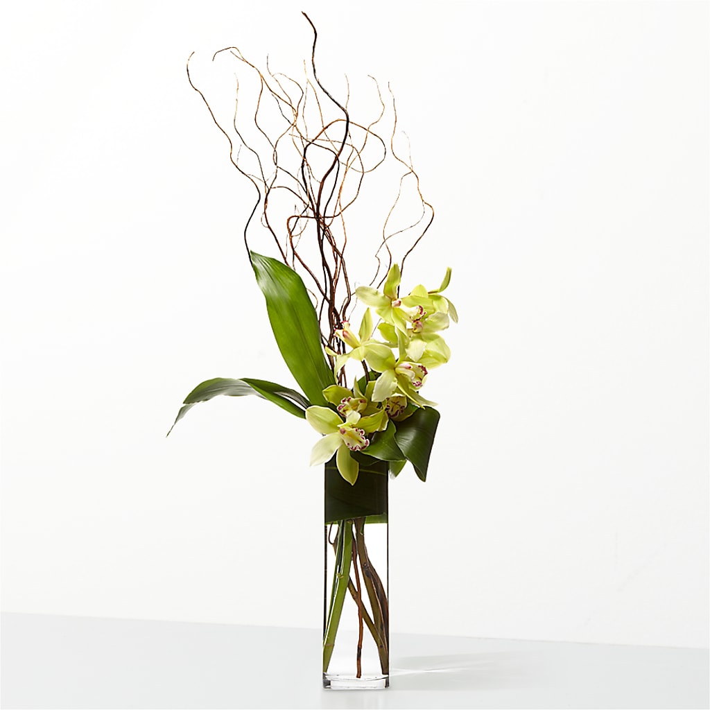The Statement –  Panda Flowers Canada Inc, Calgary AB