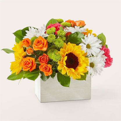 Sun-drenched Blooms Box Bouquet –  Panda Flowers Canada Inc, Calgary AB