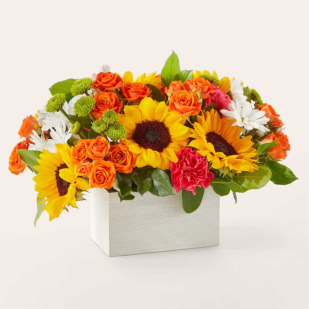 Sun-drenched Blooms Box Bouquet –  Panda Flowers Canada Inc, Calgary AB