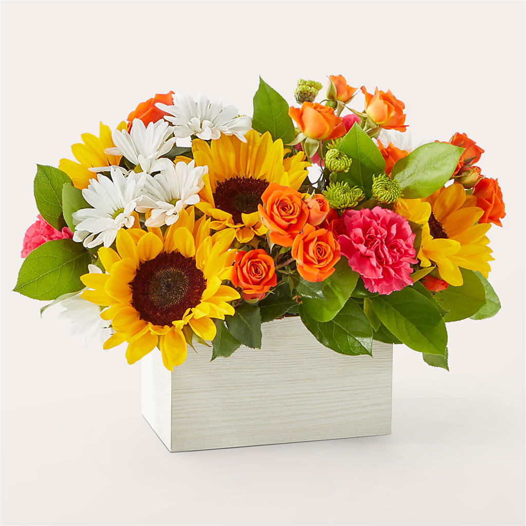 Sun-drenched Blooms Box Bouquet –  Panda Flowers Canada Inc, Calgary AB