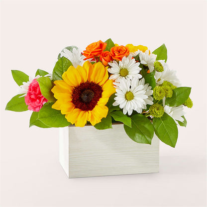 Sun-drenched Blooms Box Bouquet –  Panda Flowers Canada Inc, Calgary AB