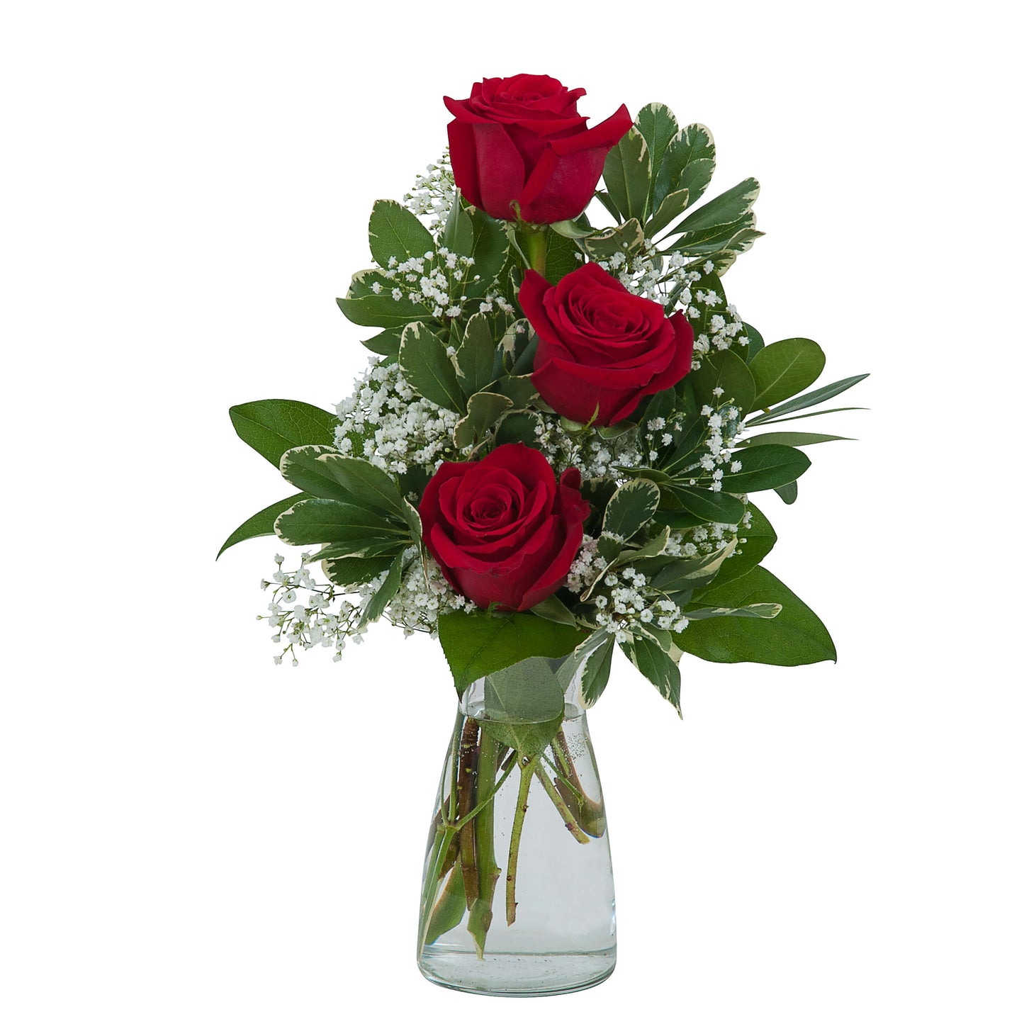 Simply Roses –  Panda Flowers Canada Inc, Calgary AB