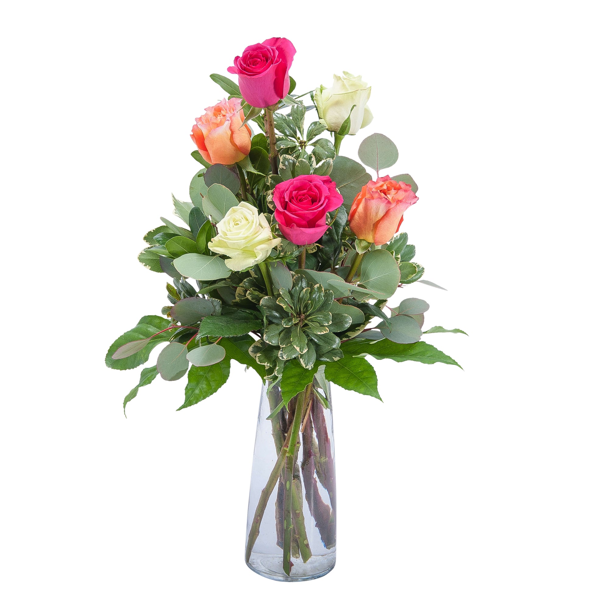 Six Assorted Roses –  Panda Flowers Canada Inc, Calgary AB