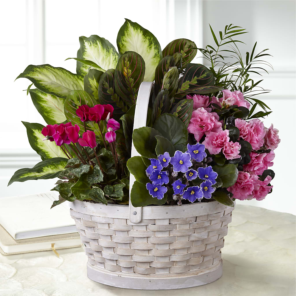 Peaceful Garden Planter –  Panda Flowers Canada Inc, Calgary AB