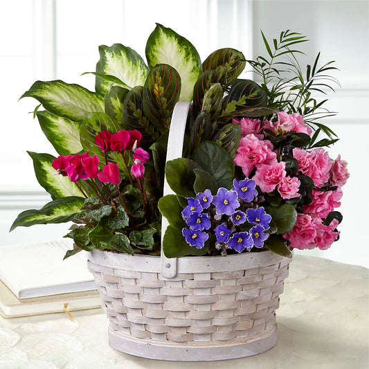 Peaceful Garden Planter –  Panda Flowers Canada Inc, Calgary AB