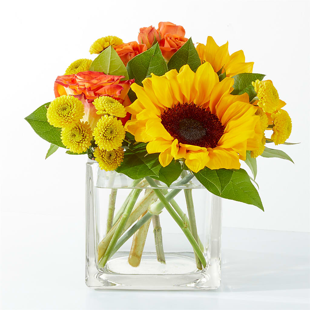 Picnic in the Park Bouquet –  Panda Flowers Canada Inc, Calgary AB
