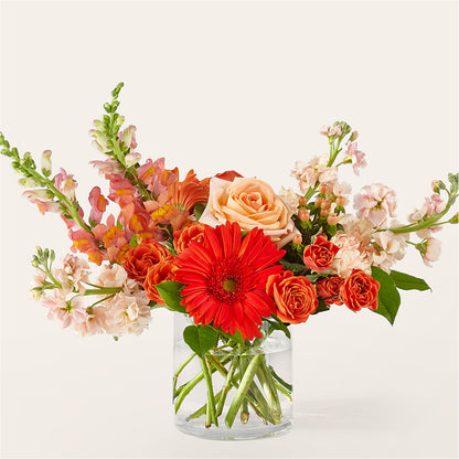 Paloma Please Bouquet –  Panda Flowers Canada Inc, Calgary AB