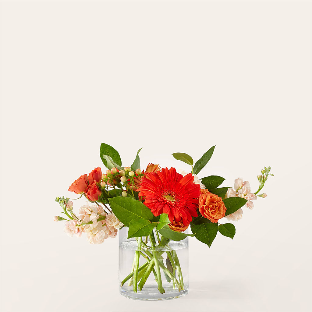 Paloma Please Bouquet –  Panda Flowers Canada Inc, Calgary AB
