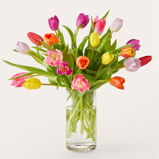 Let's Talk Tulips Bouquet –  Panda Flowers Canada Inc, Calgary AB