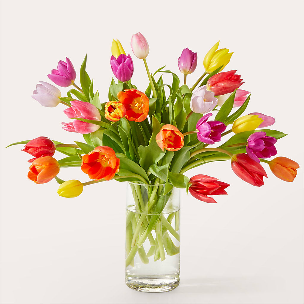 Let's Talk Tulips Bouquet –  Panda Flowers Canada Inc, Calgary AB