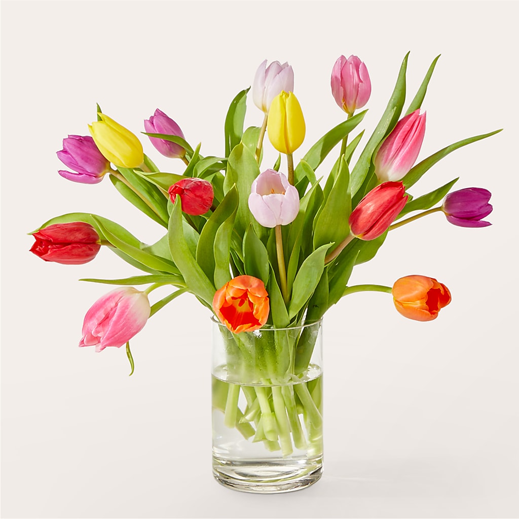 Let's Talk Tulips Bouquet –  Panda Flowers Canada Inc, Calgary AB