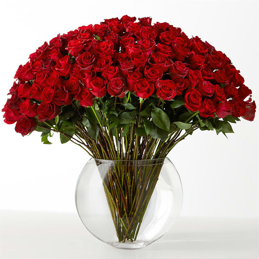 The Idealist –  Panda Flowers Canada Inc, Calgary AB